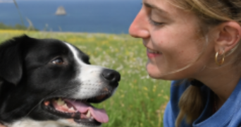camille pet sitter à MARSEILLE 01 13001_2