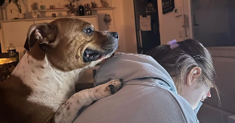 brayanna pet sitter à LILLE 59000_1