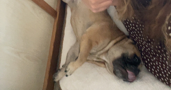 alexandra pet sitter à PARIS 05 75005_0