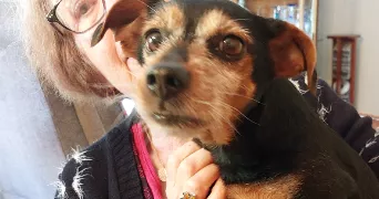 denise dog sitter à EVRY COURCOURONNES 91080