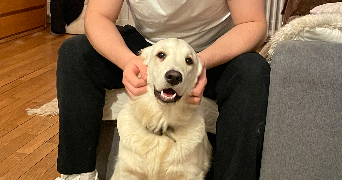 margot pet sitter à ARRAS 62000_5