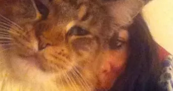 marie pet sitter à Igny 91430