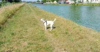 magaly pet sitter à LONGUEIL ANNEL 60150_1