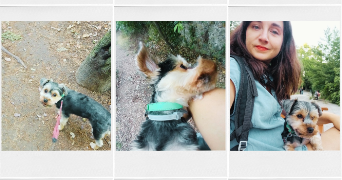 bérengère pet sitter à MONTPELLIER 34000_5