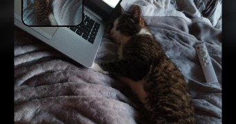 zélie pet sitter à ECULLY 69130_3