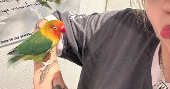 evy pet sitter à CHATILLON EN VENDELAIS 35210_3