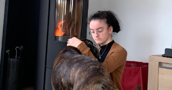 ambre pet sitter à RENNES 35000_3