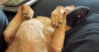 manon pet sitter à ANTIBES 06600_2
