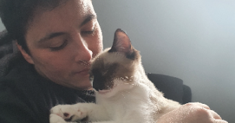 kristalya pet sitter à BREST 29200_3