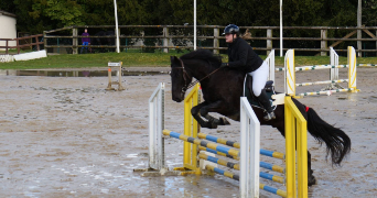 inès pet sitter à BURES SUR YVETTE 91440_2