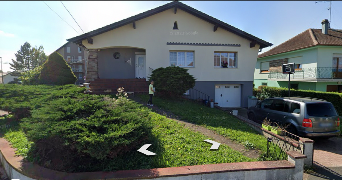 leyla pet sitter à SARRALBE 57430_7