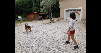 léonore pet sitter à MONTPELLIER 34000_8