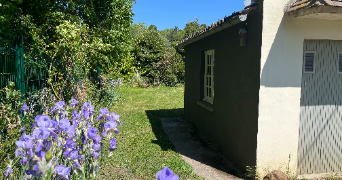 marion pet sitter à DEAUVILLE 14800_6