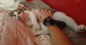 jérômine pet sitter à VANVES 92170_8