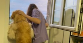 soline pet sitter à Lannion 22300_14