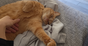 angèle pet sitter à NICE 06000_2