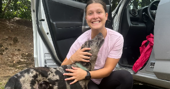marie jeanne pet sitter à MARSEILLE 10 13010