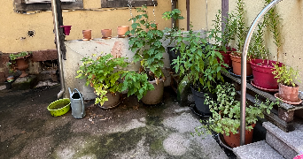 lisa pet sitter à STRASBOURG 67000_1