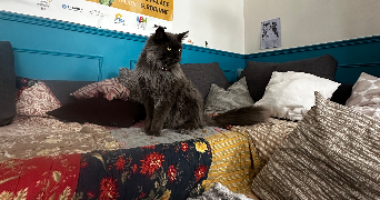 fleuriane pet sitter à MARSEILLE 06 13006_6