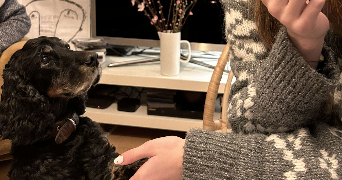 evgeniya pet sitter à GRENOBLE 38100_2