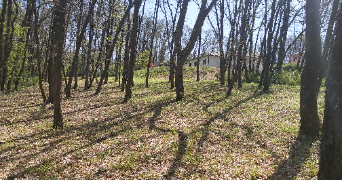 chloe pet sitter à POMPIGNAN 82170_8