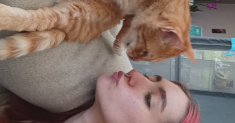 laura pet sitter à ALGRANGE 57440_4