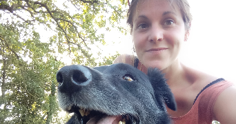 marine pet sitter à  50340