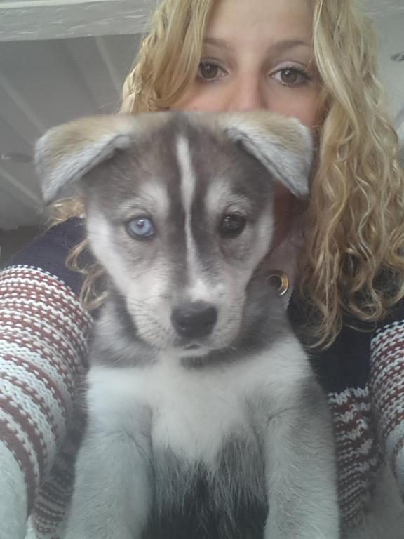 Sonia pet sitter à Lognes 77185_0