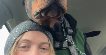 pauline pet sitter à CHAVENAY 78450_3