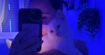 louna pet sitter à DUNKERQUE 59640