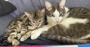 noemie pet sitter à LUZECH 46140