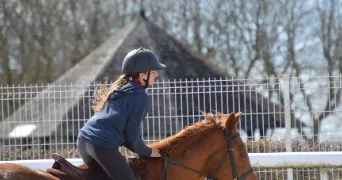camille pet sitter à ALLINGES 74200