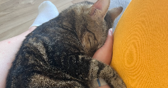 fantine pet sitter à CAEN 14000_2