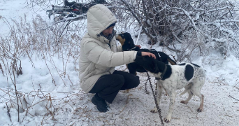 laia pet sitter à Anglet 64600_1