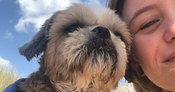 adèle pet sitter à BOURTH 27580_1