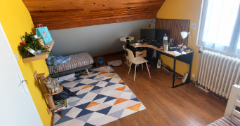 younes pet sitter à VILLEMOMBLE 93250_3