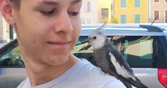 gaëtan pet sitter à GRENOBLE 38000_2