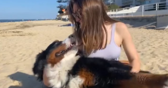 sorine pet sitter à BORDEAUX 33000_2