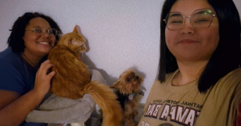 indra et meï-yan pet sitter à LYON 03 69003_4