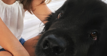 lilou pet sitter à LYON 07 69007_3