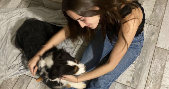 romane pet sitter à JENLAIN 59144_1