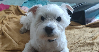 fabienne pet sitter à PARIS 14 75014_4