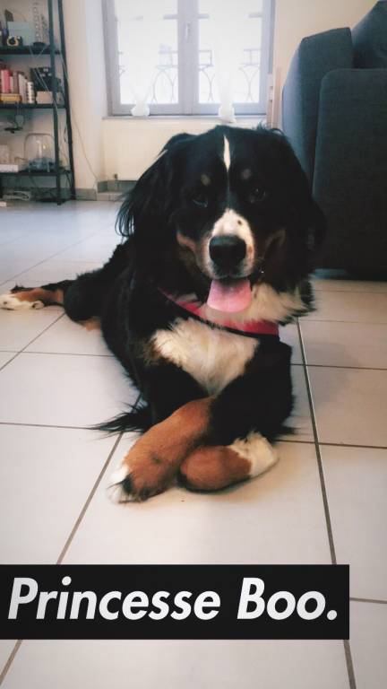 Claire pet sitter à Perpignan 66000_2