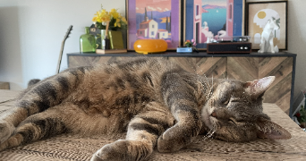 samantha pet sitter à FREJUS 83600_3