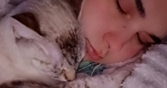 hiba pet sitter à BEZONS 95870_0