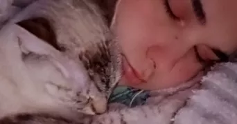 hiba pet sitter à BEZONS 95870