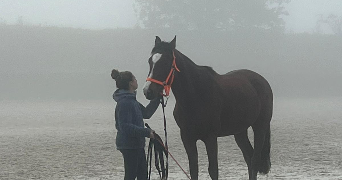 marianne pet sitter à BREUILLET 91650_0