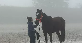marianne pet sitter à BREUILLET 91650