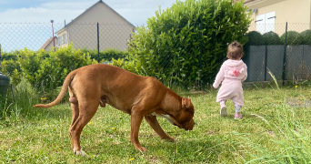 kassandra pet sitter à EPINAY SUR SEINE 93800_0