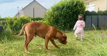 kassandra pet sitter à EPINAY SUR SEINE 93800